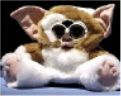 Nerve Gas Furby